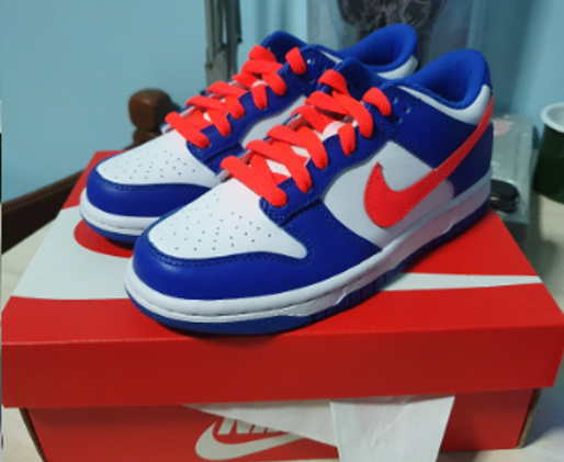 Nike Dunk Low GS: A Style Symphony